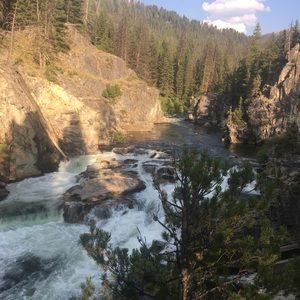 Meet your Posher, Taylor